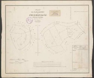 Plan über den Gemeinde-Wald von Neidelsbach auf dortiger Gemarkung