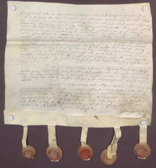 Instrumentum probationis des Johann Joseph Benedikt von Zu Rhein.