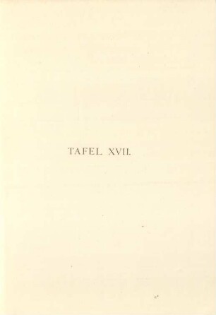 Tafel XVII.
