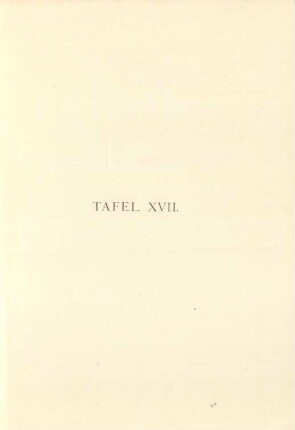 Tafel XVII.