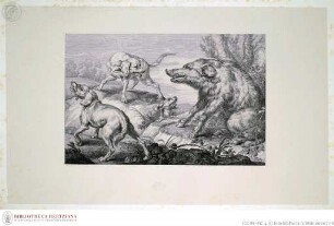 La Reale Galleria di Torino illustrataBand 1.Tafel III.: Die Wildschweinjagd - Volume ITafel III.: La Caccia di Cinghale