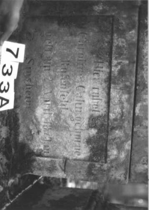 Grabstein 733 (Index: 99900428) Material: Sandstein Zustand: stellenweise verwittert Maße HxBxT: 126x58x20 cm Beschreibung: aufgesockelte Stele mit Dreiecksabschluss, Eckakroterien: Grabstein 733A