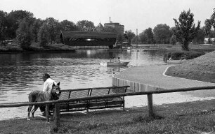 Sommertag in der Günther-Klotz-Anlage