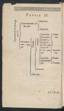 Tabula IX.