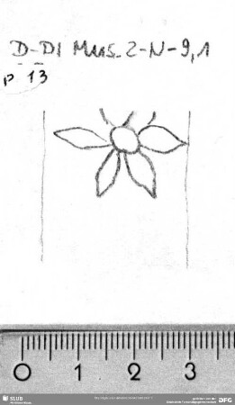 W-Dl-523 Löwe / Blüte