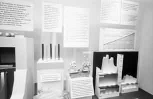 Basel: Modell, Atomreaktor
