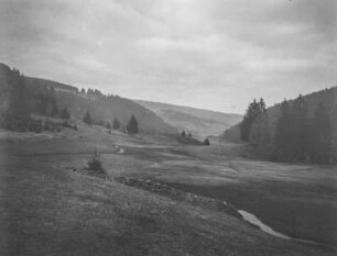 Landschaftsblick : Blick auf bewaldete Hänge und Wiesen