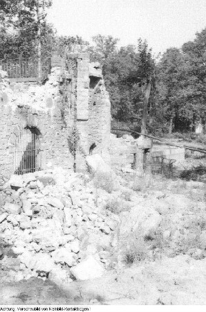 Dresden, Tiergartenstraße? Ruinen von kriegszerstörten Villen, August 1945 & Dresden, Zoologischer Garten Dresden, kriegszerstört, August 1945