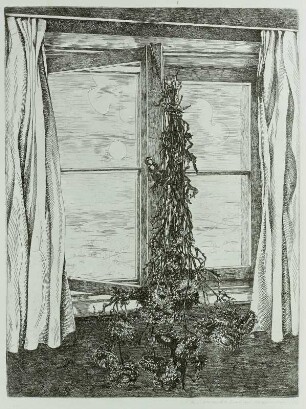 Strohblumen am Fenster