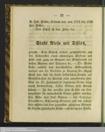Stadt Riesa mit Schloß