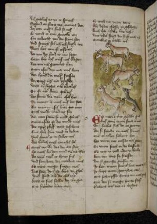 Vier Ochsen und ein Wolf, (Von den vier Ochsen und dem Wolf, Kapitel LXXXIV)