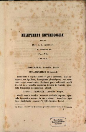 Meletemata Entomologica, VII