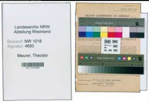 Entnazifizierung Theodor Meurer , geb. 02.11.1881 (Betriebsfuehrer)