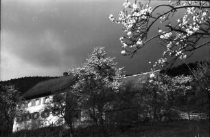 Glotterbad: Häusergruppe und Blüten vor Gewitterhimmel; etwas seitlich gesehen