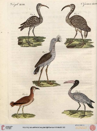B.IX. No. 61 - B.VI. No. 70
