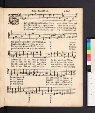 Bassus, Primi Chori, 8. Voc.