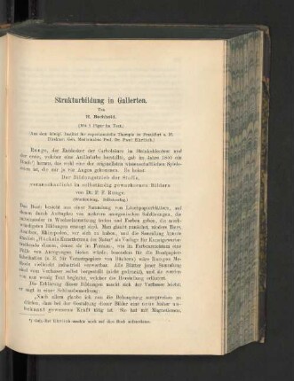 Strukturbildung in Gallerten