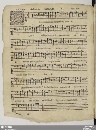 LI. Cantate Domino canticum novum