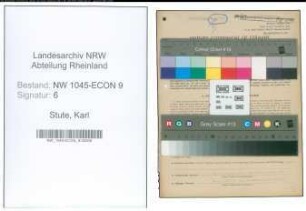 Entnazifizierung Karl Stute , geb. 06.06.1910 (Bankkaufmann)