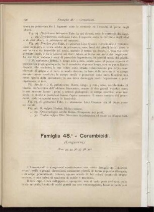 Famiglia 48. - Cerambicidi. [bis] Famiglia 50. - Crisomelidi.