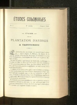 Études Pour Une Plantation D'Arbres A Caoutchouc.