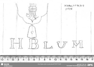 W-Dl-578 Lilienschild + "HBLUM"