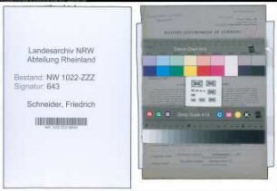 Entnazifizierung Friedrich Schneider , geb. 11.11.1872 (Dachdecker)