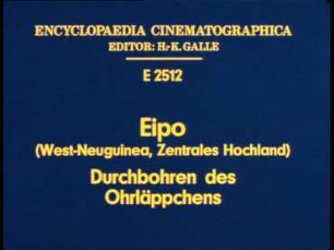 Eipo (West-Neuguinea, Zentrales Hochland) - Durchbohren des Ohrläppchens