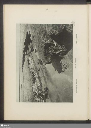 Priel auf Langeness