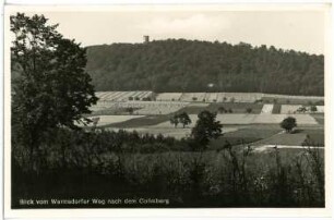 Collm. Collmberg vom Wermsdorfer Weg