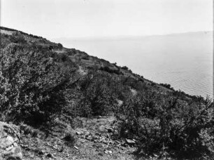 Isla de la Luna : Auf der Isla de la Luna. Im Vordergrund einige Polylepis Sträucher.