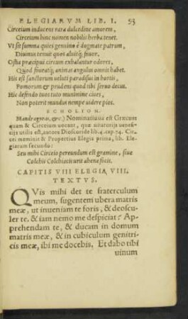 Capitis VIII Elegia VIII. Textus.