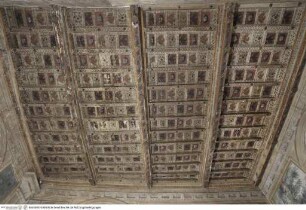 Bemalte Holzdecke mit Ornamenten, Blumen und borghesischem Adler und Drachen