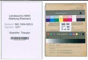 Entnazifizierung Theodor Guenther , geb. 27.09.1909 (Schneider)
