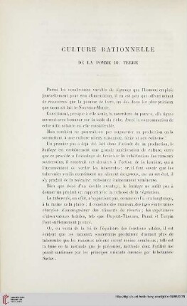 Culture rationelle de la pomme de terre