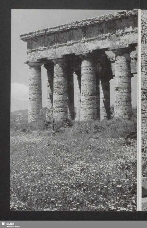 Segesta