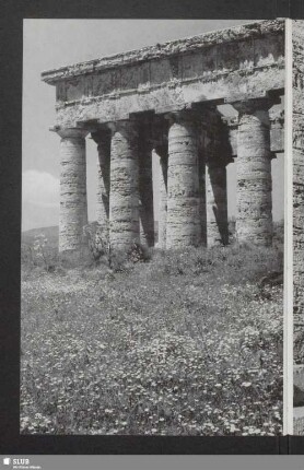 Segesta