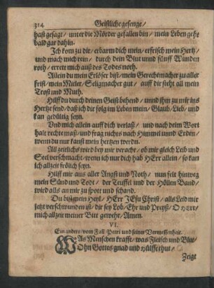 VI. Ein anders/ vom Fall Petri und seiner Vermessenheit.