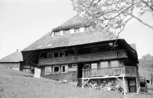 Todtnauberg: Schwarzwaldhaus am Hang; von unten