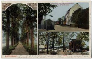 Zweinaundorf : Linden-Allee