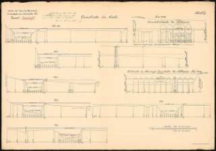 Ausbau der Saale bei Merseburg Schinkelwettbewerb 1917: Querschnitte der Saale mit Eisenbahnbrücken bei Schkopau 1:500 (Längen), 1:100 (Höhen)