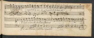 Ch'io più creda alla fortuna; S, bc; G-Dur