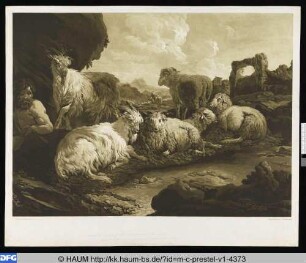 Evening with the repose of cattle