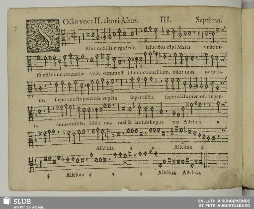 III. Salve nobilis virga Jesse