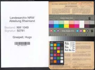 Entnazifizierung Hugo Gneipelt , geb. 06.03.1893 (Kaufmann)