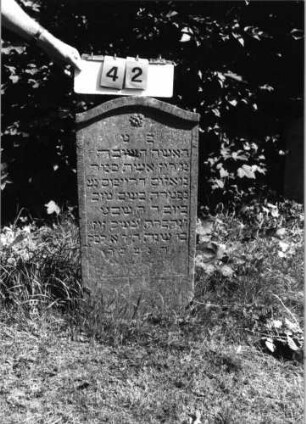 Grabstein 42 (Index: 99796351) Material: Sandstein Zustand: gut Maße HxBxT: 86x44x9 cm Beschreibung: Stele, Konvexbogenabschluß mit kleiner Verdachung Symbolik: Blüte: Grabstein 42