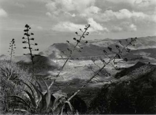 Das Valle Guerra auf Teneriffa