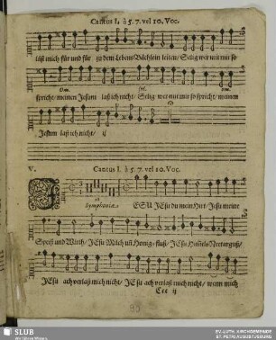 V. Jesu du mein Hirt
