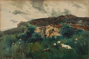 Wiese vor Felsen