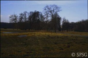 Potsdam, Park Sanssouci, Wasser im Bereich des ehemaligen Palaisgrabens.